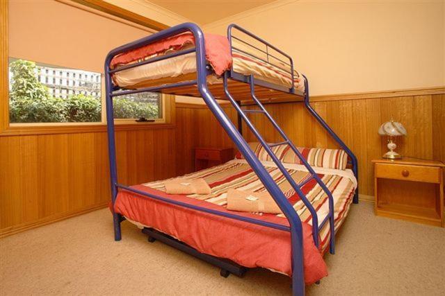 Apollo Bay Backpackers Lodge חדר תמונה